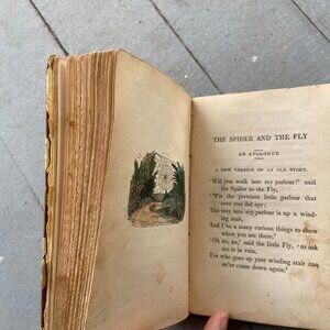 Mary Howitt, The Spider & the Fly, Antique Book, Sketches of Natural History